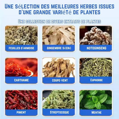 🌿 Patch Apaisant Articulations & Muscles 1 ACHETÉ = 1 OFFERT